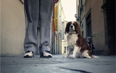 Nei Dintorni dell’Amore